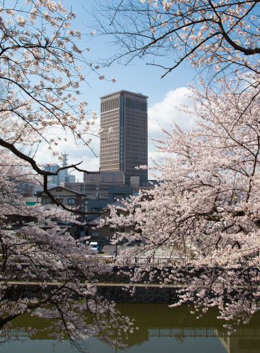 山形市 霞城眼科クリニック